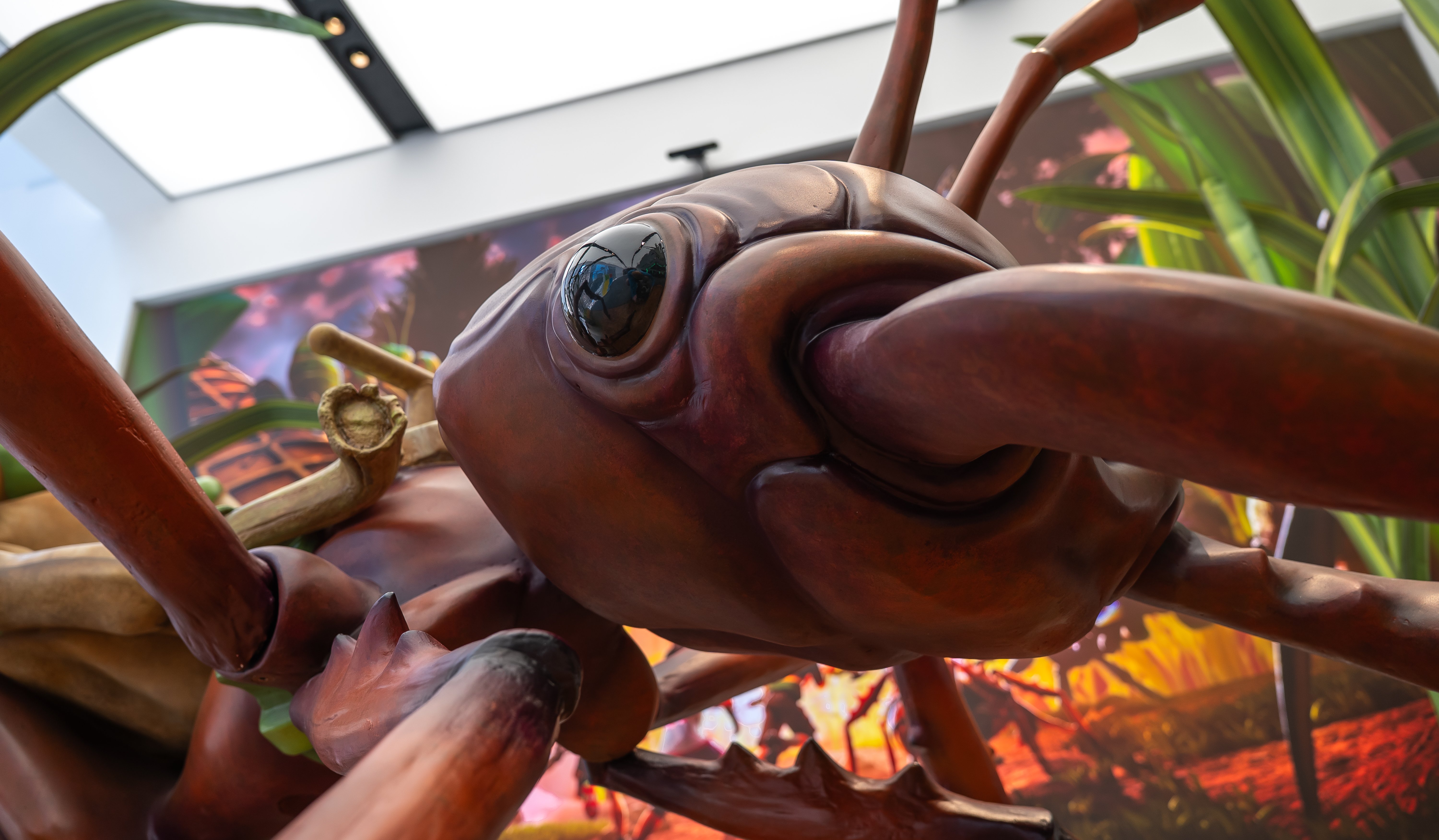 New Experiences-7 (1)